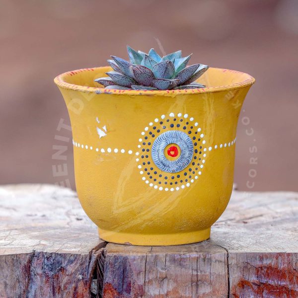 Echeveria Purpusorum - Image 2