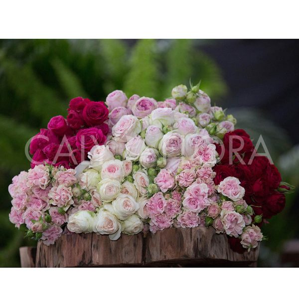 Extra Premium Bouquet - Image 7