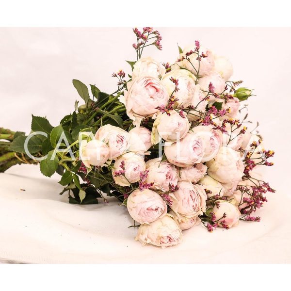 Extra Premium Bouquet - Image 11