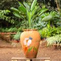 Birds of Paradise - Strelitzia Reginae - Image 3
